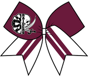 Navarre Raiders - Cheer Bow